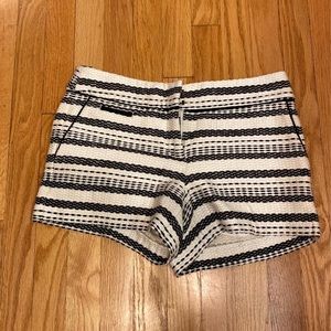 Loft shorts